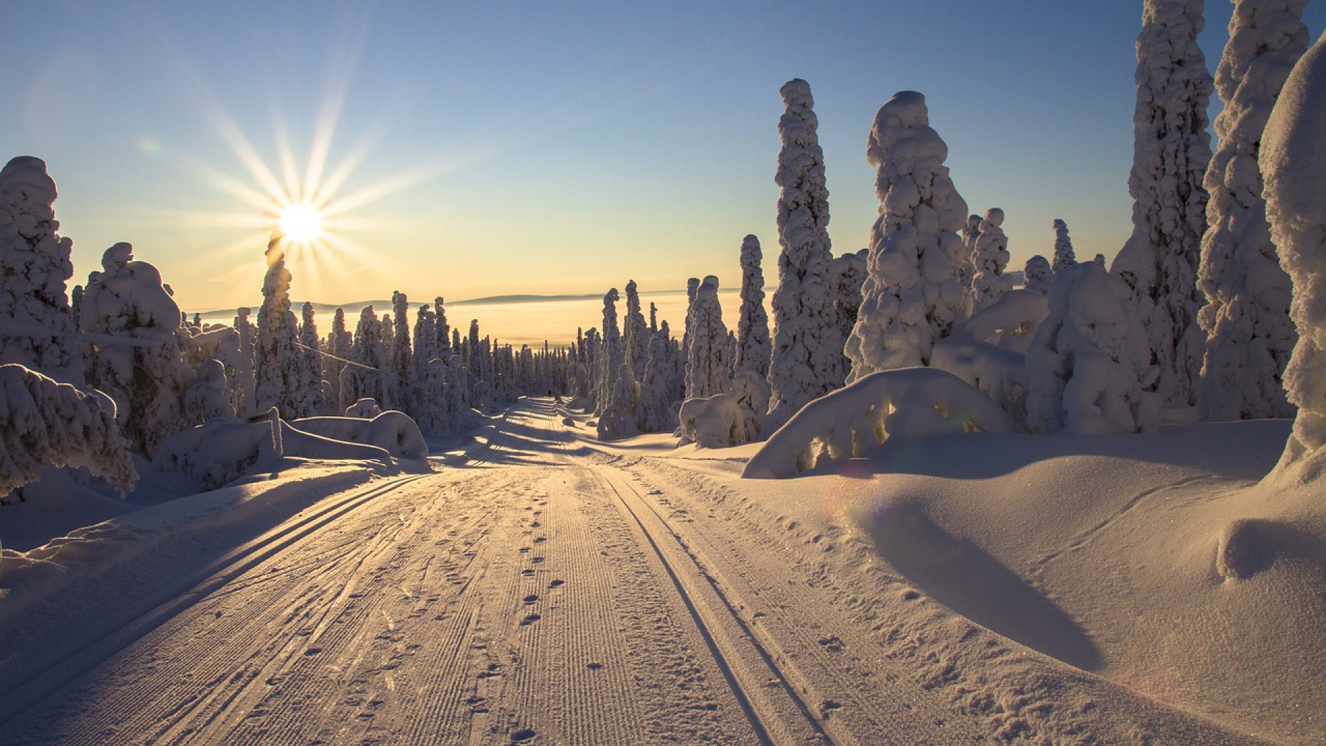 Quelles sont les meilleures saisons pour visiter la Laponie ?